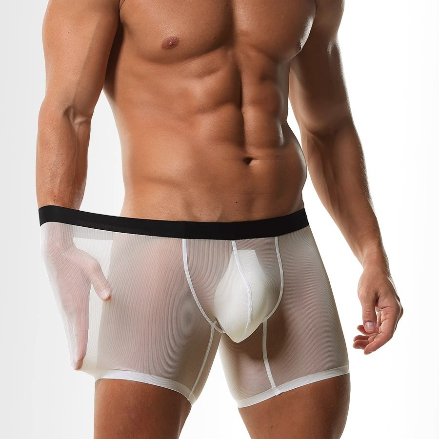 Ice Silk Sheer Mesh Long Leg B - Long Leg Trunk Men review and price